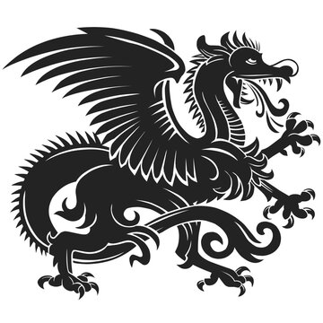 black and white dragon
