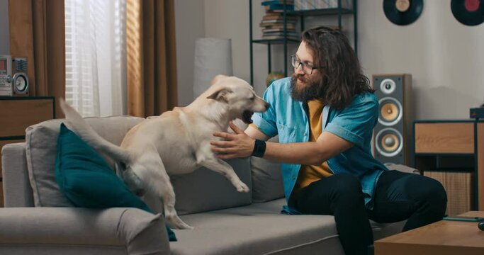 A man cheerfully sits on the couch in the living room playing with his dog after returning from work for relaxation. The animal is man's best friend, spending time together, caring.