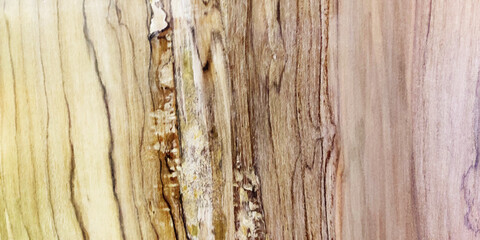 Old brown soft light wood planks with natural texture, wooden panel background. Top view of vintage wooden. Wood texture natural wood background.