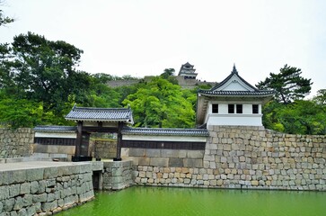 Obraz premium 丸亀城 天守閣と大手門