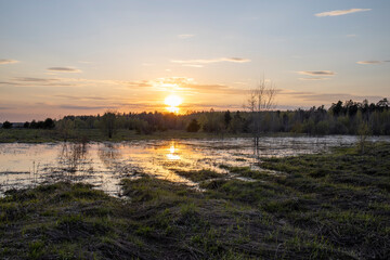 Fototapeta na wymiar Wetland area. evening landscape, sunset over the swamp. Early spring.