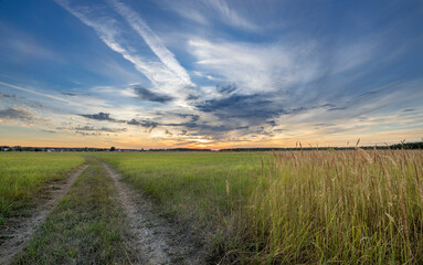 Fototapeta premium Evening landscape, sunset in the field. Rural agriculture in the evening light.