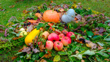 Beautiful autumn harvest background of apples, pumpkin and butternut squash on the grass and colorful fallen cherry leaves. Top view.
