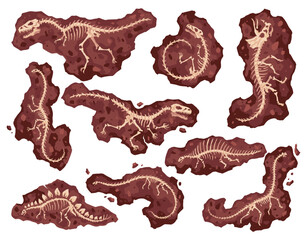 Dinosaur skeleton bones, fossil excavations of archeology isolated set. Collection of prehistoric reptile skeletons lying underground. Cartoon different dinosaur fossils. Paleontological artifacts © the8monkey