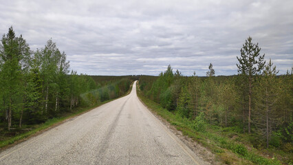 road in the forest