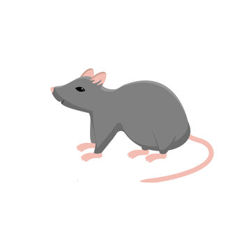 rat animal isolated icon,vector