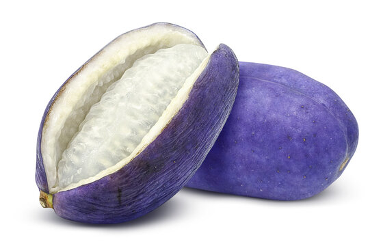 アケビ」の写真素材 | 2,148件の無料イラスト画像 | Adobe Stock