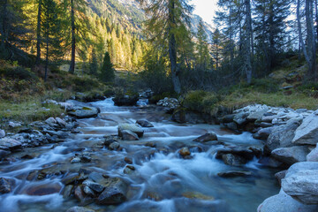 Gebirgsbach durch einen Herbstwald
