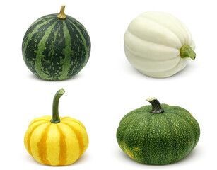 かぼちゃ ハロウィン おもちゃかぼちゃ イラスト リアル 単体