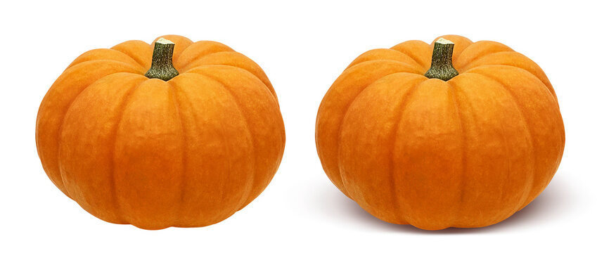 ハロウィン カボチャ リアル