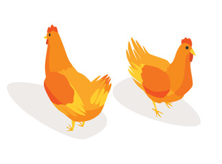 Farm animal isometric. Domestic animal in 3d flat back and front view. Cute game character of chicken. Vector icon