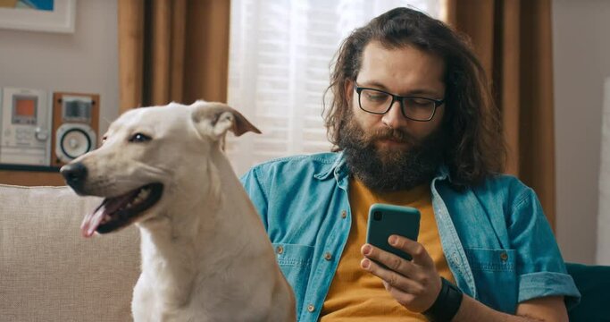 A bearded handsome man sits on the couch with his dog in the living room, which he strokes. The man is browsing insurance policy quotes on smartphone.