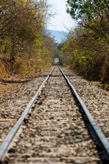 railroad in the interior of brazil