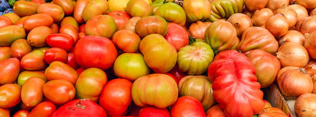 Different types of fresh tomatoes on display
