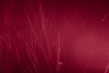 Cherry Wine Color Abstract Background Christmas Minimal Simple Lines movement Futuristic Modern Elegant 