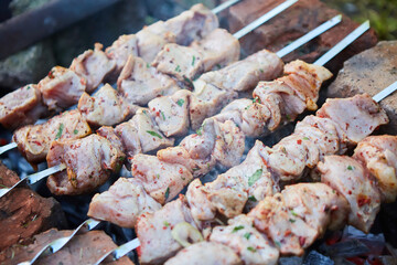 Raw pork kebab on the coals of the grill.
