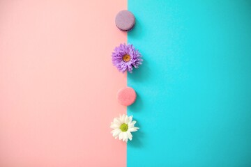 Colorful macaroons cakes on a pink and blue background with flowers