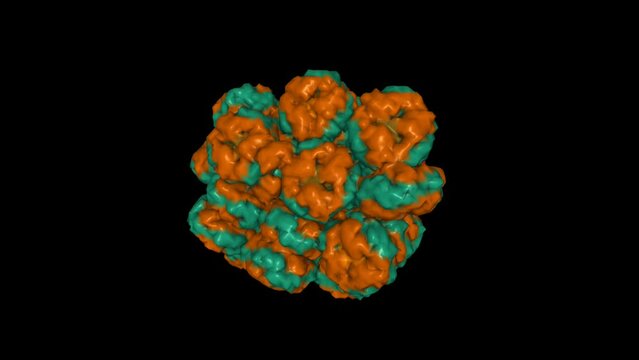 Structure of the phycobilisome from the red alga Porphyridium purpureum. Animated 3D Gaussian surface model, entity id color scheme, PDB 6kgx, black background