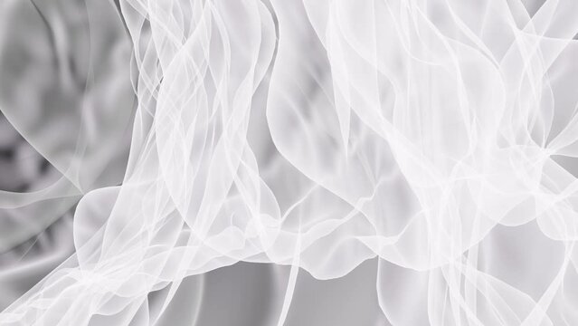 silk black white background looped animation