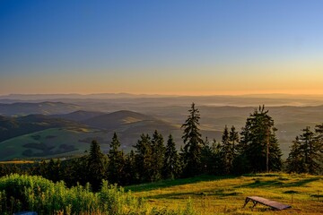 Aerial view of a beautiful forest near Zlatibor Mountain, Serbia