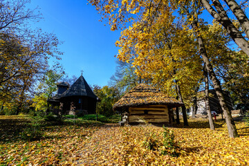 Traditional Romanian house surounded with many old trees with green, yellow, orange and brown...