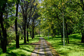 Landscape with the hidden alley surrounded by vivid green and yellow trees, plants trees and grass in a sunny autumn day in Parcul Tineretului (Tineretului Park) in Bucharest, Romania .