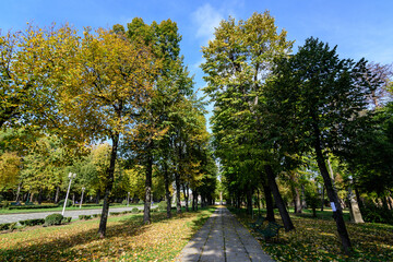 Fototapeta premium Landscape with the alley surrounded by green and yellow old large chestnut trees and grass in a sunny autumn day in Parcul Carol (Carol Park) in Bucharest, Romania .