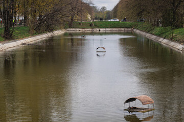 Naklejka premium Royal Canal in Agrykola Park in Warsaw city, Poland
