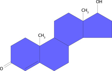 Testosterone is the main male sex hormone. Structural formula.	 - obrazy, fototapety, plakaty