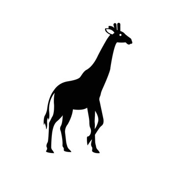 Wildlife zoo animals giraffe icon | Black Vector illustration |