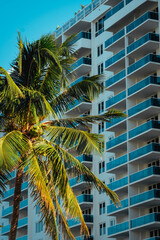 Fototapeta na wymiar palm trees marina apartments life in Miami Beach florida balcony windows 