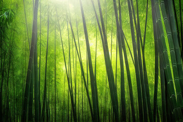 Green bamboo forest in sunlight - obrazy, fototapety, plakaty