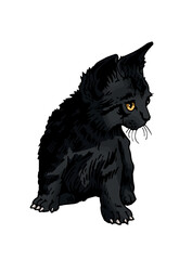 Vector black color kitten,graphical drawing of domestic pet,illustration for design and books