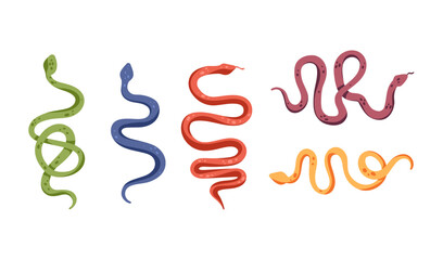 Set different colors snakes. Flat vector illustration