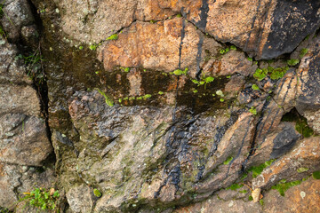 A black substance flows out of the cracks in the stone. Rock formation outdoors. Rock of magmatites of the Ukrainian crystalline shield in Kremenchuk city
