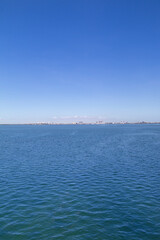 Obraz premium Looking like Nevada