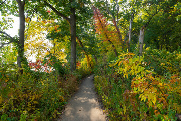 Hiking trail