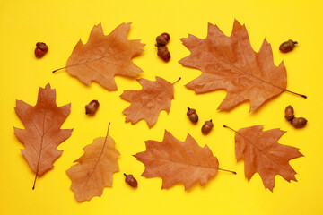 Creative leaf layout, composition of fallen orange autumn leaves acorn on yellow background....