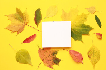 Creative layout of colorful composition of mixed multicolored orange red fallen autumn leaf leaves on yellow background. Natural foliage. Fall concept. Top view. Flat lay. Copy space. Space for text