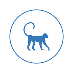 Wildlife animals mammal monkey icon | Circle version icon |