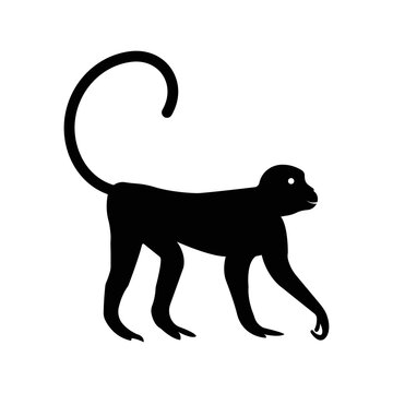 Wildlife animals mammal monkey icon | Black Vector illustration |
