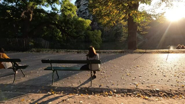 Plan vue d'une all&eacute;e de balade dans un parc en fin de journ&eacute;e, 119,88fps ralenti X4 - 29,97fps