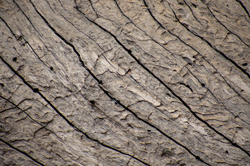 old wood texture gray