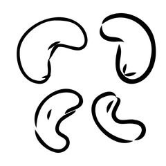 Obraz premium Cashew nuts realistic isolated. Vector illustration of food. Vintage engraving art. Hand drawing plants. Black and white sketch.
