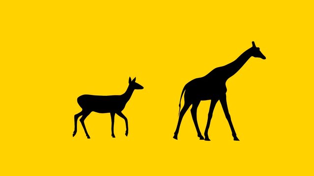 Walking giraffe and roe deer, animation on the yellow background (seamless loop)