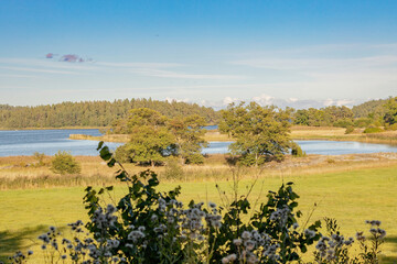 scenic view of a swedish landscape in summer