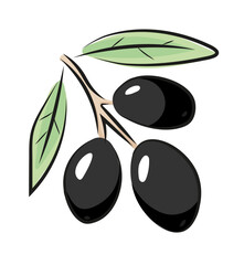 Oliwki ilustracja © Monika Janiak-Klicha