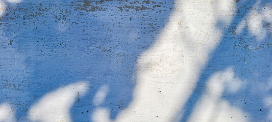 white wall textured background with leaf shadows and tree branches