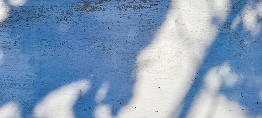 white wall textured background with leaf shadows and tree branches