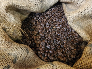 Brown coffee beans in burlap sack